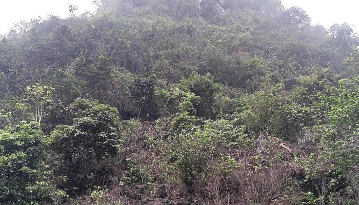 Khu Du Lich Suoi Mo Mam Moi Nhat - Lạng Sơn