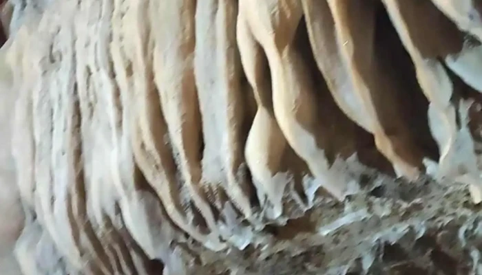 Khu Du Lich Suoi Mo Mam Video - Lạng Sơn