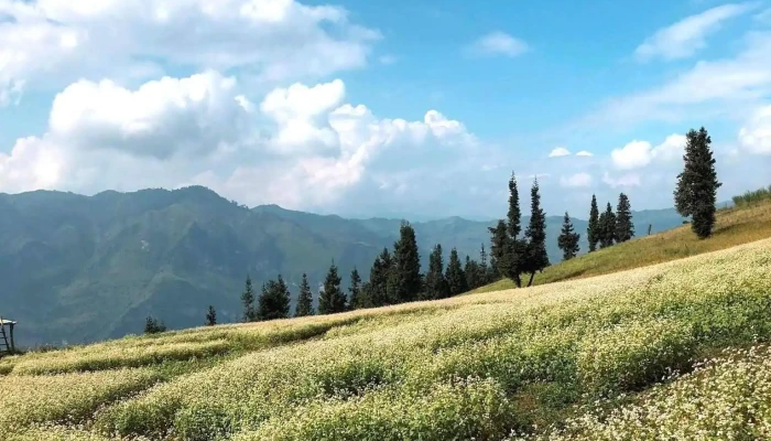 Khu Du Lich Suoi Thau Tat Ca - Hà Giang