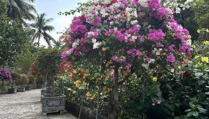 Khu Du Lich Suoi Tranh Tat Ca - Kiên Giang