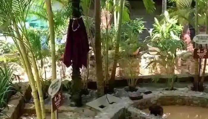 Khu Du Lich Tram Trung 100 Egg Theme Park Moi Nhat - Khánh Hòa