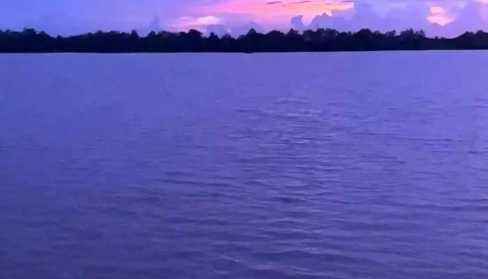 Khu Du Lich Vuon Sinh Thai Ba Ngoi Cua Chu So Huu - Bến Tre