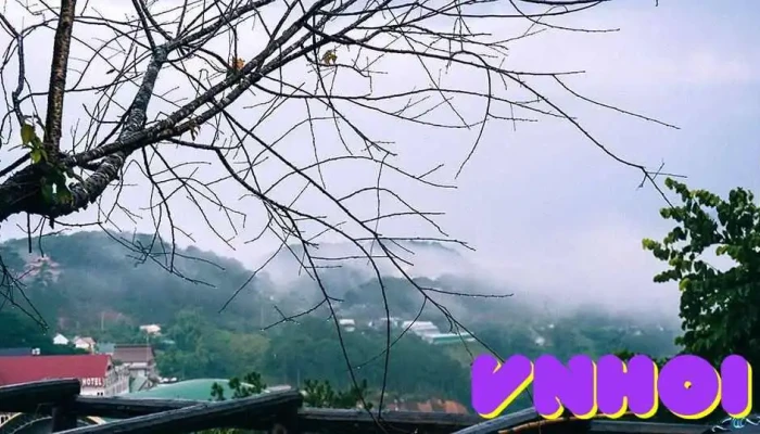 Khu Du Lịch Trang Trại Rau Và Hoa - Phường 7