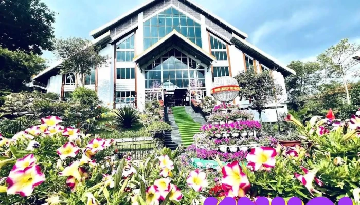 Khu Du Lịch Cáp Treo Núi Chứa Chan - Đồng Nai