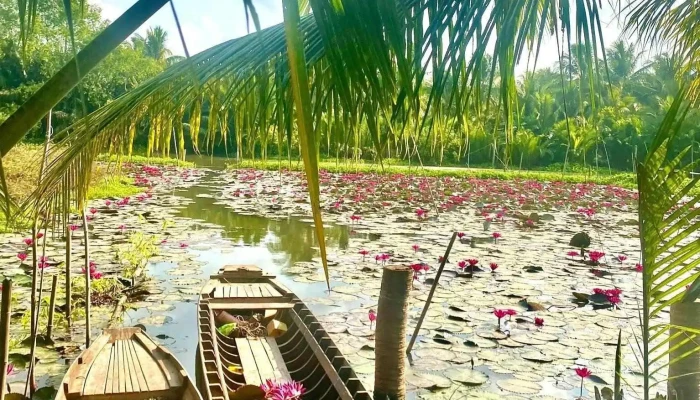 Khu Du Lịch Sinh Thái Đảo Du Thuyền - Tân Hoà
