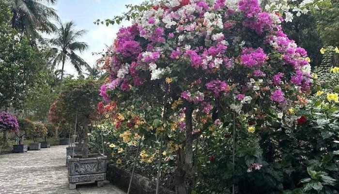 Khu du lịch Suối Tranh - Kiên Giang