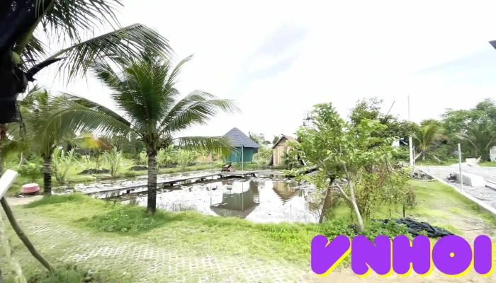 Khu Du Lịch Vườn Dâu Hai Lúa - Trảng Bàng