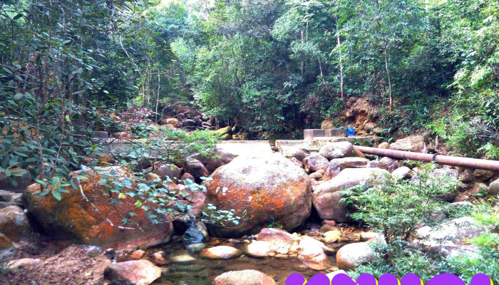 Khu Du Tru Thien Nhien Tay Yen Tu Tat Ca - Bắc Giang