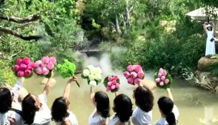 Khu Rung Co Tich Cua Chu So Huu - Khánh Hòa