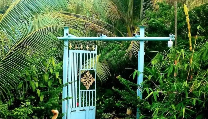 Khu Sinh Thai Ba Nhien Tat Ca - Vĩnh Long