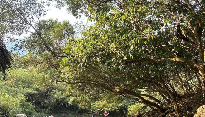 Khu sinh thái Suối Tà Lao - Tà Long