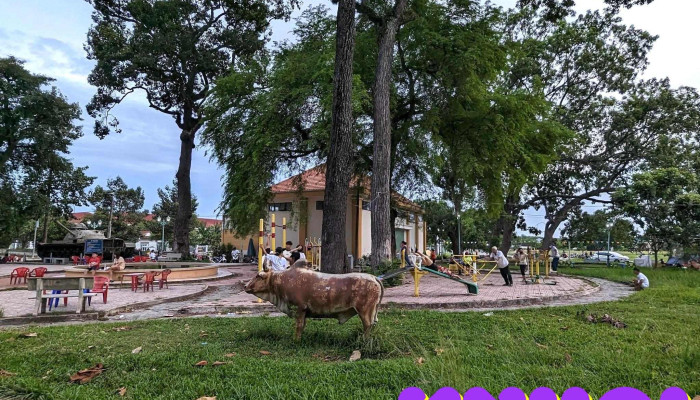 Khu vui chơi trẻ em - Trảng Bàng