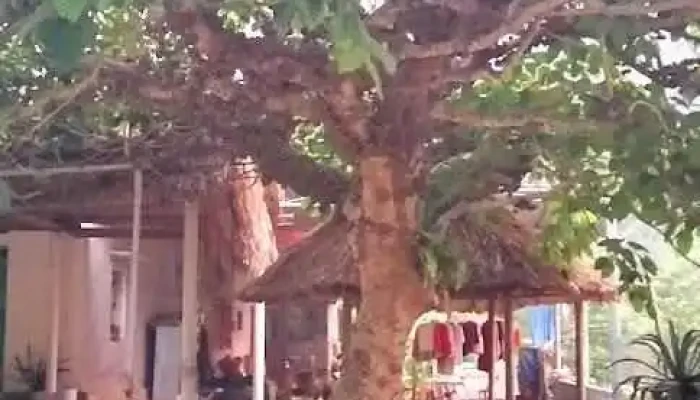 Kỳ Sơn - Hòa Bình
