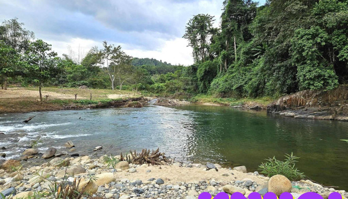 La Ngau Camping Song - Bình Thuận
