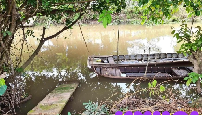 Lai Vung -  Tat Ca - Đồng Tháp