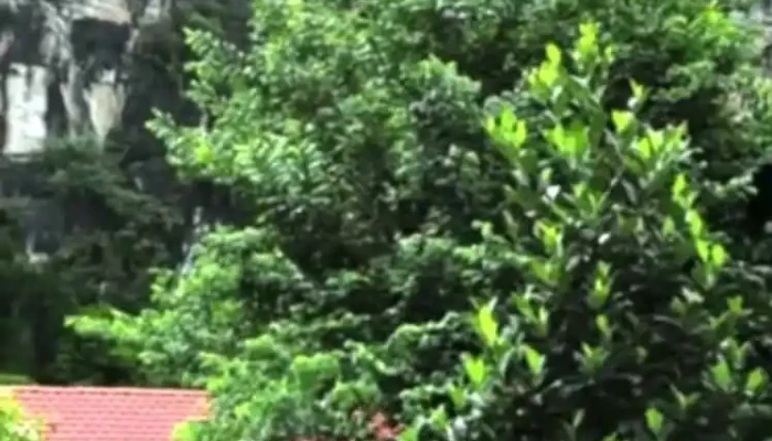 Lalita Tam Coc Resort Spa Cua Chu So Huu - Ninh Bình