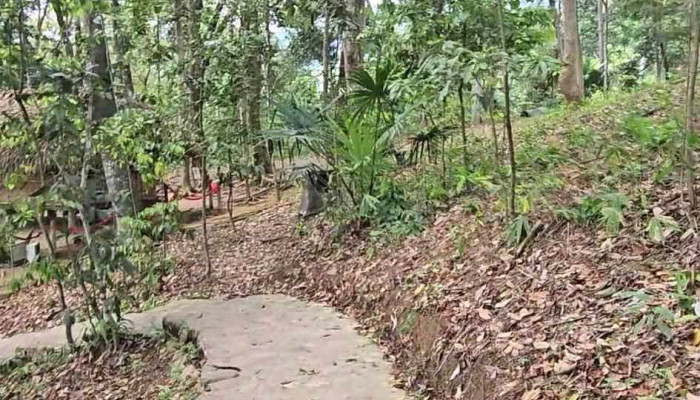 Lan Na Nua Moi Nhat - Tuyên Quang