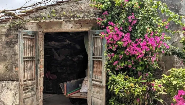 Lang Co Dich Diep Moi Nhat - Nam Định