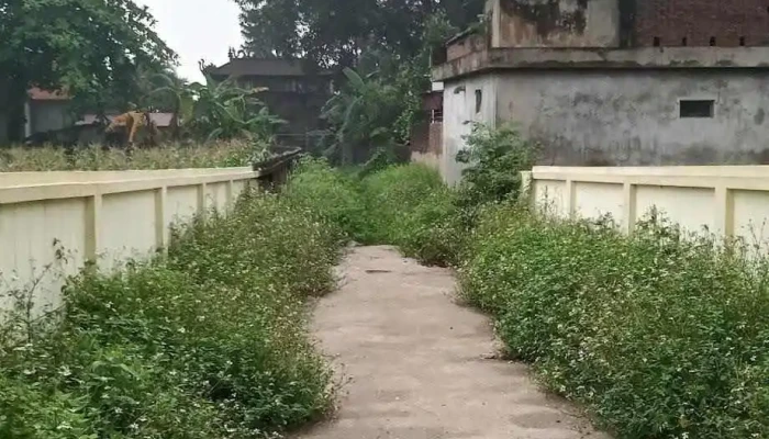 Lang Co Phuoc Tich Moi Nhat - Thành Phố Huế