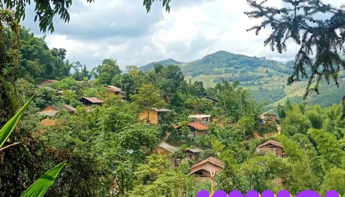 Lang Co Thien Huong Nui - Hà Giang
