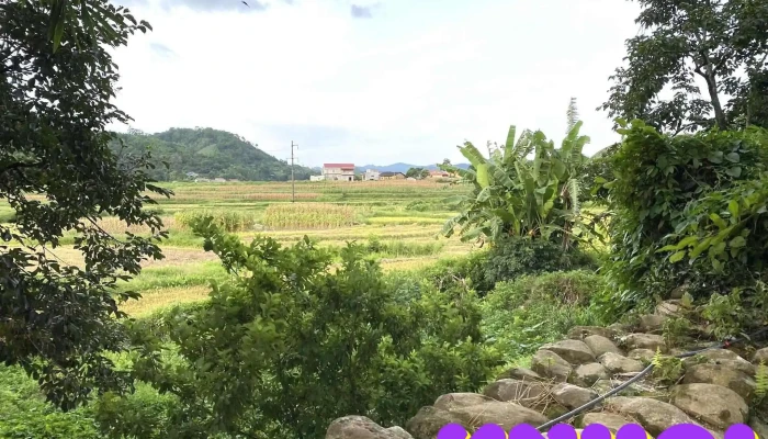 Lang Da Thach Khuyen Nui - Lạng Sơn
