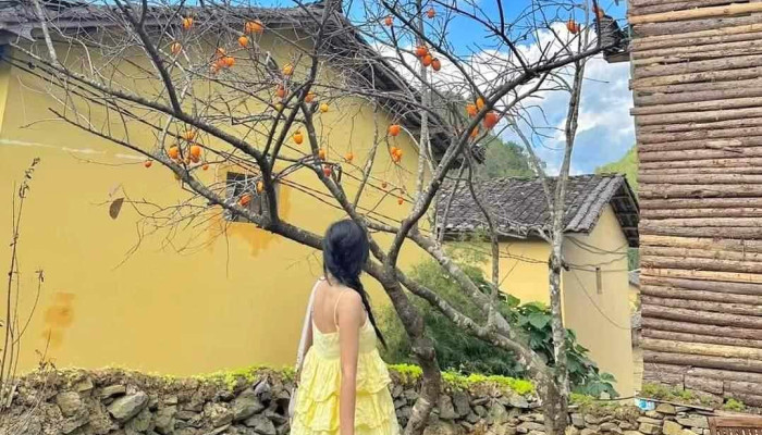 Lang Lo Lo Chai Cua Chu So Huu - Hà Giang