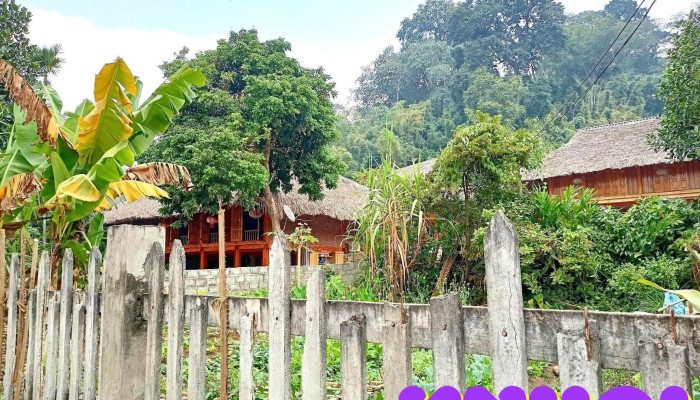 Lang Tan Lap Tat Ca - Tuyên Quang