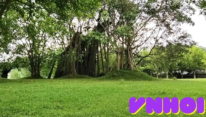 Lang Tan Lap Video - Tuyên Quang
