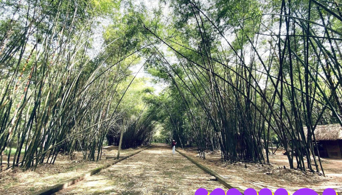 Lang Tre Phu An Tat Ca - Bình Dương
