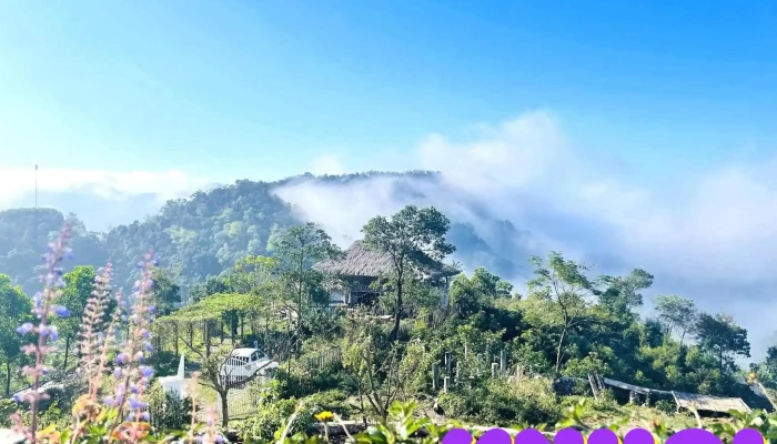 Leu Homestay Ngoai That - Hòa Bình