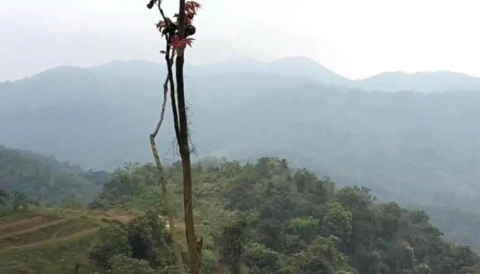 Leu Homestay Video - Hòa Bình