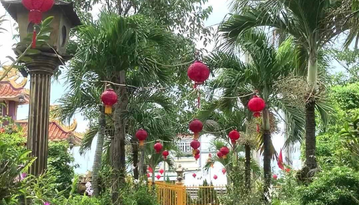 Linh Phuoc Co Tu Chua Phat Da Video - Tiền Giang