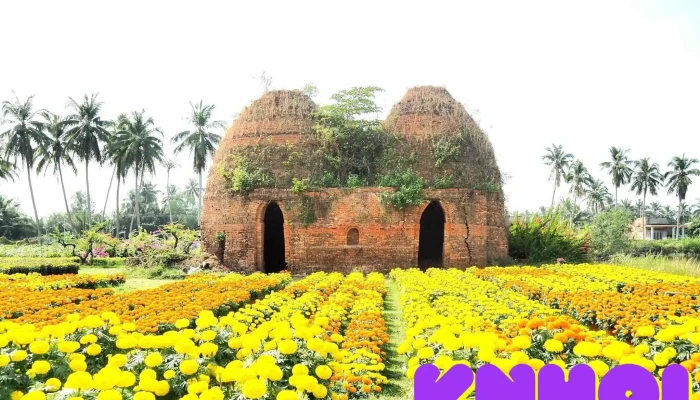 Lo Gach Chi Pheo Tat Ca - Bến Tre