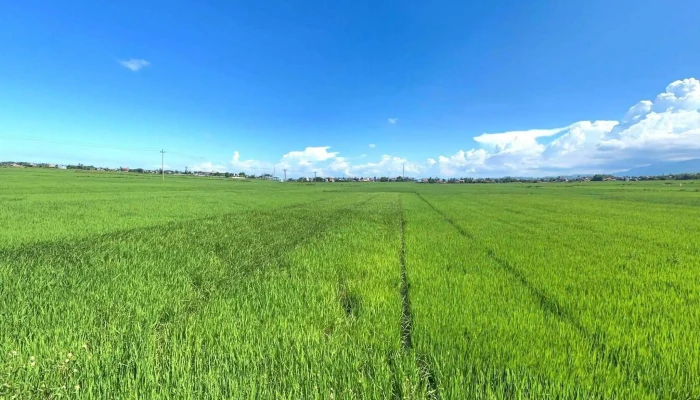 Lo Gach Cu Farm Che Do Xem Pho Va 360deg - Quảng Nam