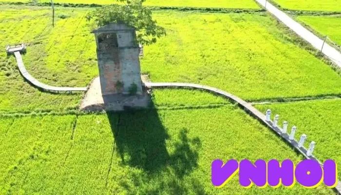 Lo Gach Cu Farm Cua Chu So Huu - Quảng Nam