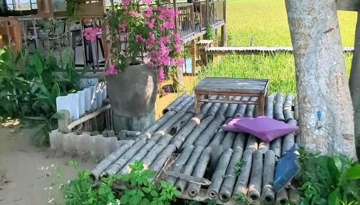 Lo Gach Cu Farm Moi Nhat - Quảng Nam