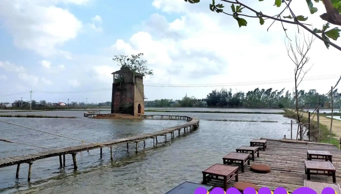 Lo Gach Cu Farm Tat Ca - Quảng Nam