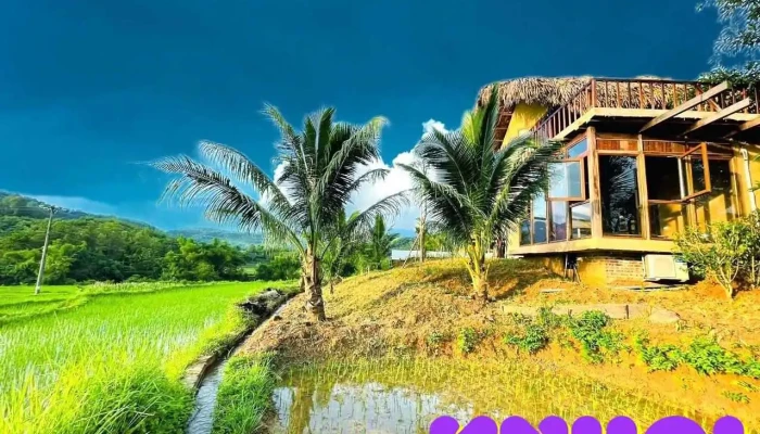 Mai Chau Onsen Retreat -  Tat Ca - Hòa Bình
