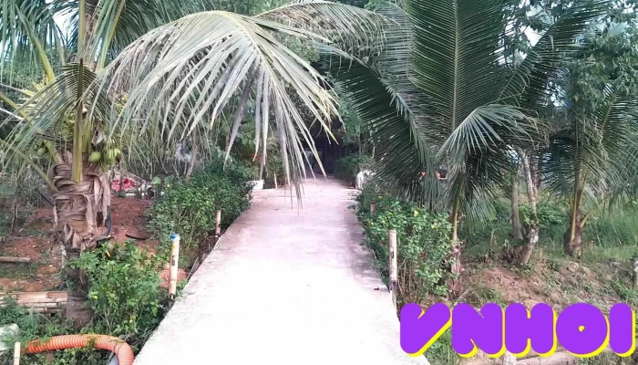 Mai Chau Onsen Retreat -  Video - Hòa Bình