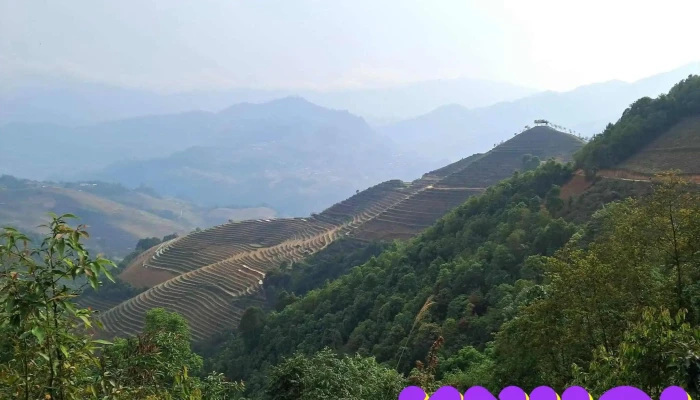 Mam Xoi Be Moi Nhat - Yên Bái