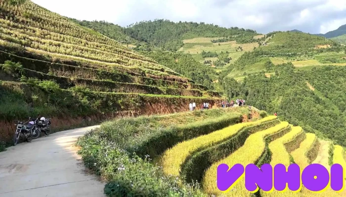 Mam Xoi Be Nui - Yên Bái