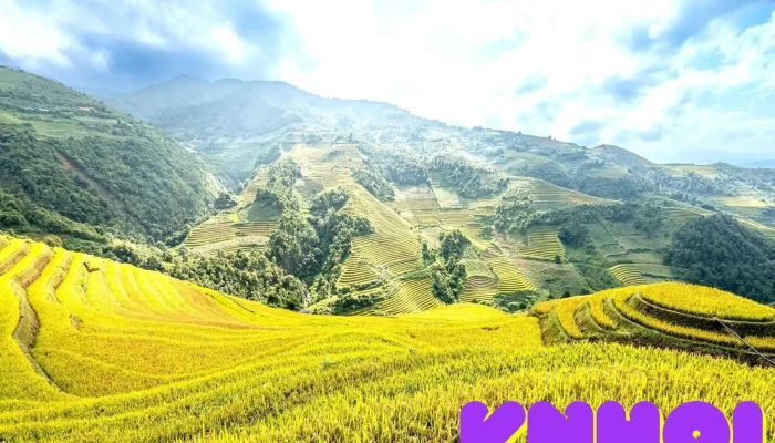 Mam Xoi Be Tat Ca - Yên Bái