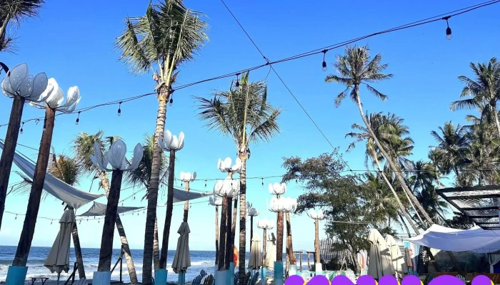 Mango Beach -  Cat - Bình Thuận