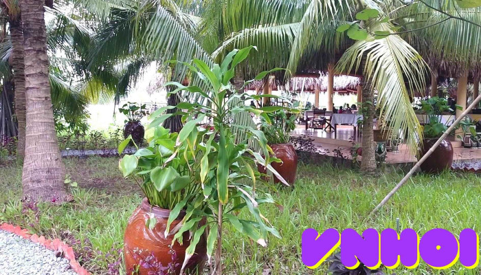 Mango Home Riverside -  Video - Bến Tre