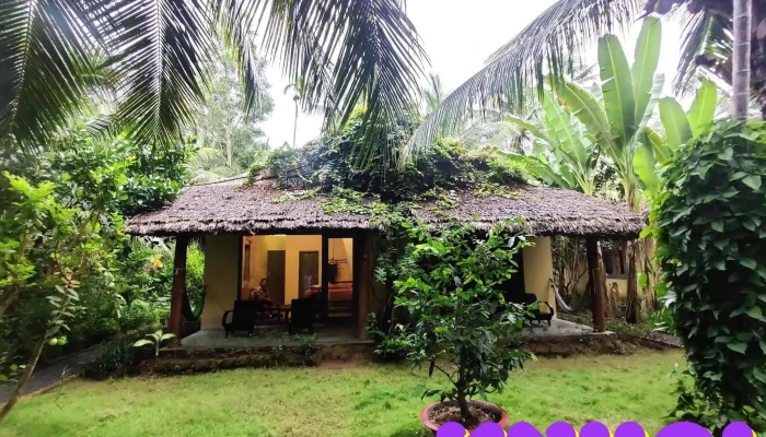 Mekong Home -  Cua Khach Tro - Bến Tre