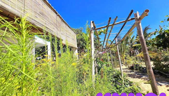 Mer Bleue -    Mo Ke Ga Homestay Cua Khach Tro - Bình Thuận
