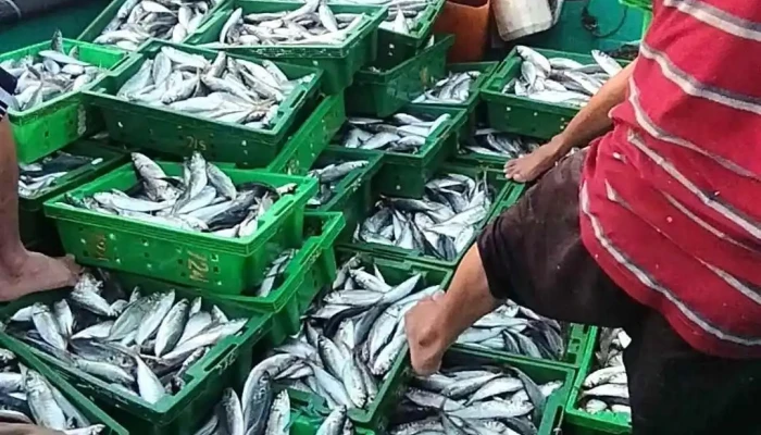 Mer Bleue -    Mo Ke Ga Homestay Video - Bình Thuận
