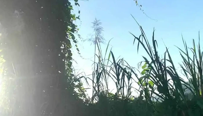 Mieu Quan Am Deo Khanh Le Video - Khánh Hòa