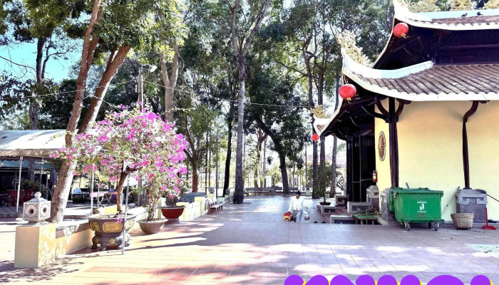 Mo Thay Thim Moi Nhat - Bình Thuận
