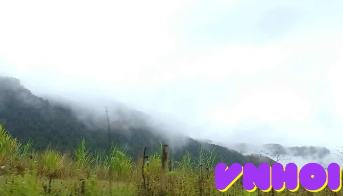 Mu Cang Chai Video - Yên Bái